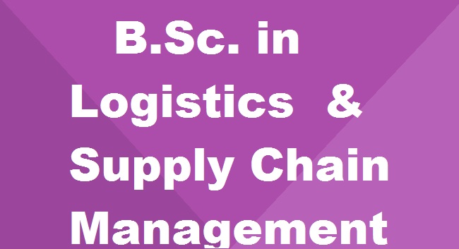 B.Sc. In Logistics & Supply Chain Management: Everything You Need To Know